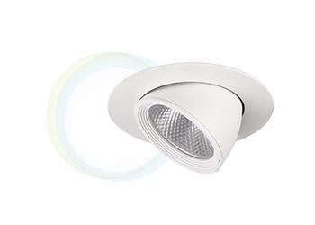 LED 象鼻型白崁燈